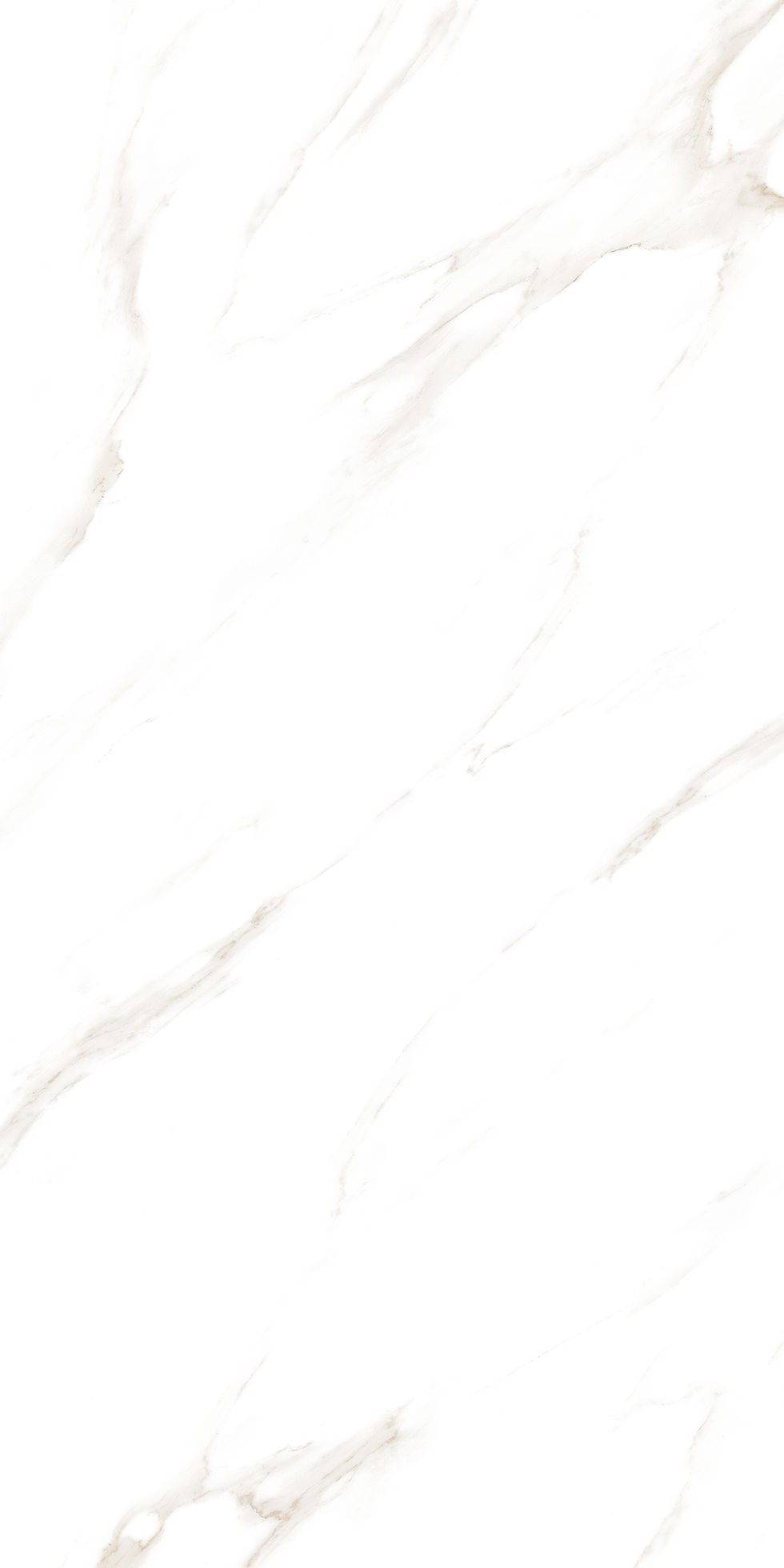 Thumbnail: Swizer White