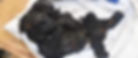 Another burnt body. It is not possible to identify whether it is a man or a woman
