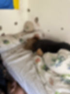 A woman murdered in her bed