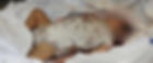 A baby's body lying on blood