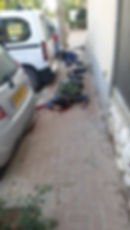 Security personnel who died while defending their Kibbutz