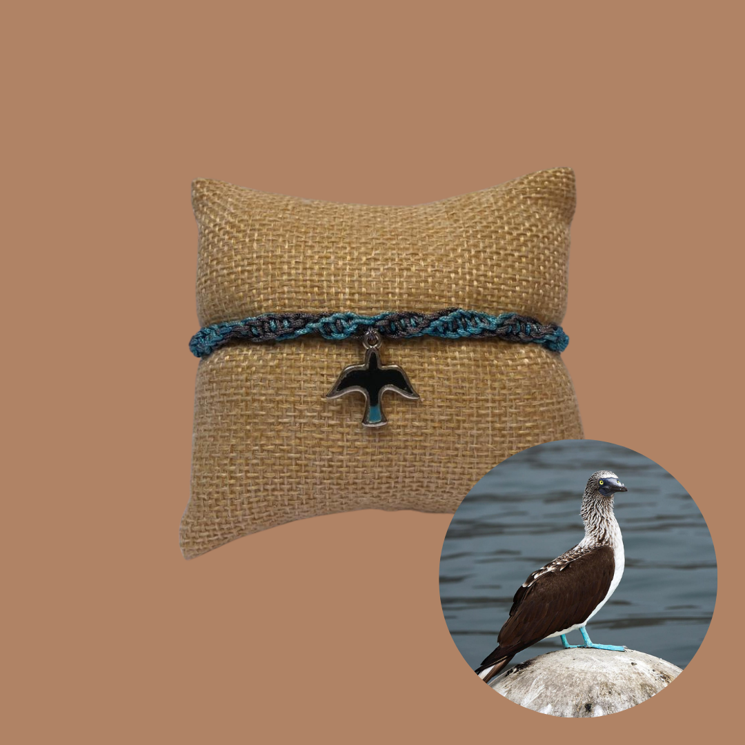 Pulsera "Piquero Patas Azules"