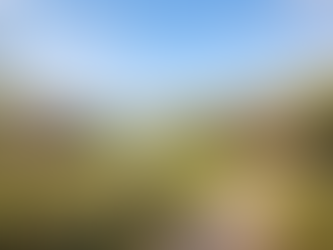 Rural Property Appraisals: What Makes Them Different (and How Value Is Determined)