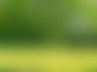 Parkland Dedications: Their Purpose and Impact