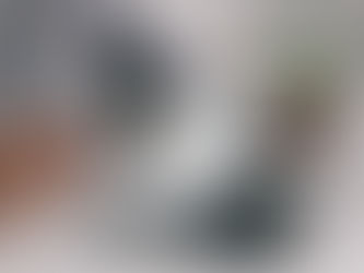 Draft Reports in Appraisals: Their Purpose and Importance