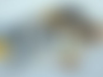 How to Prepare Your Property for an Appraisal