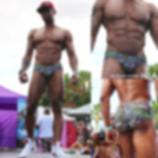 The NoRal Apparel On Fleek Brief