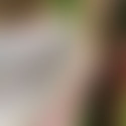 Pattern Spotlight: The Full Fade Shawl