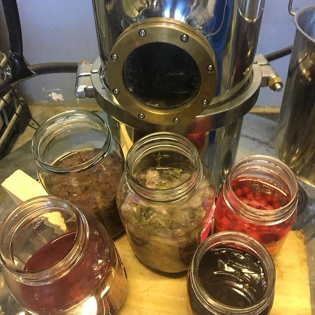 Tailored Spirits bitters and botanicals