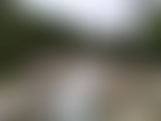 Los poetas cantores y el río