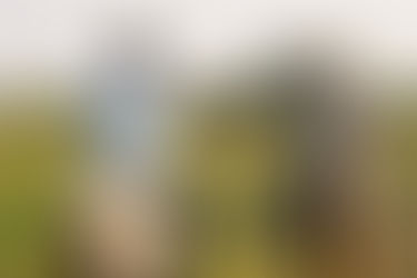 El camino que lleva a abril, por los pasos de Alejo Durán