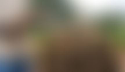 GastronomÃa, cultura y folclor sazonaran el festival del Ñame