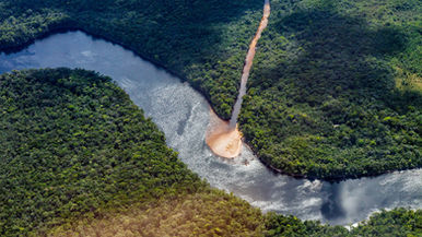 Apuesta por la restauración de 673 hectáreas del ecosistema de la cuenca del rÃo Cesar