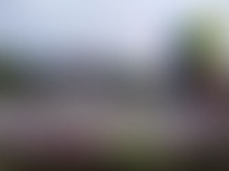 Homenaje de festival a festival en Patillal