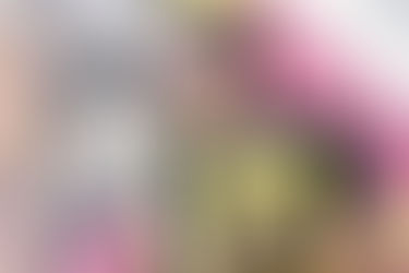 Juan David Atencia escribe su historia de rey en el Cuna de Acordeones