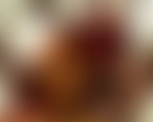 La música vallenata encontró su alma en los fuelles del acordeón