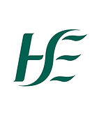 hse logo
