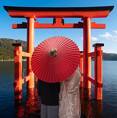 AdobeStock_592962498.jpeg