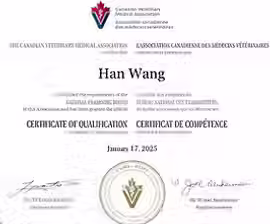 VET LIC-HAN WANG.png.avif