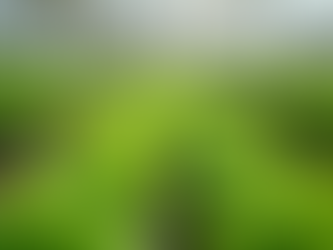 Smart Gardening Tips and Tricks