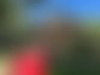 Will mortgage rates ever be 3% again?