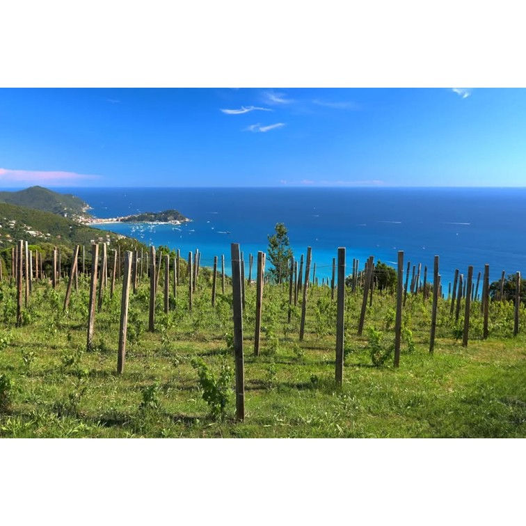 TREK MARE&MONTI | SULLA VIA DELL' ARDESIA DI LAVAGNA