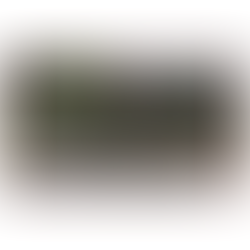 cosa fare oggi a Milano