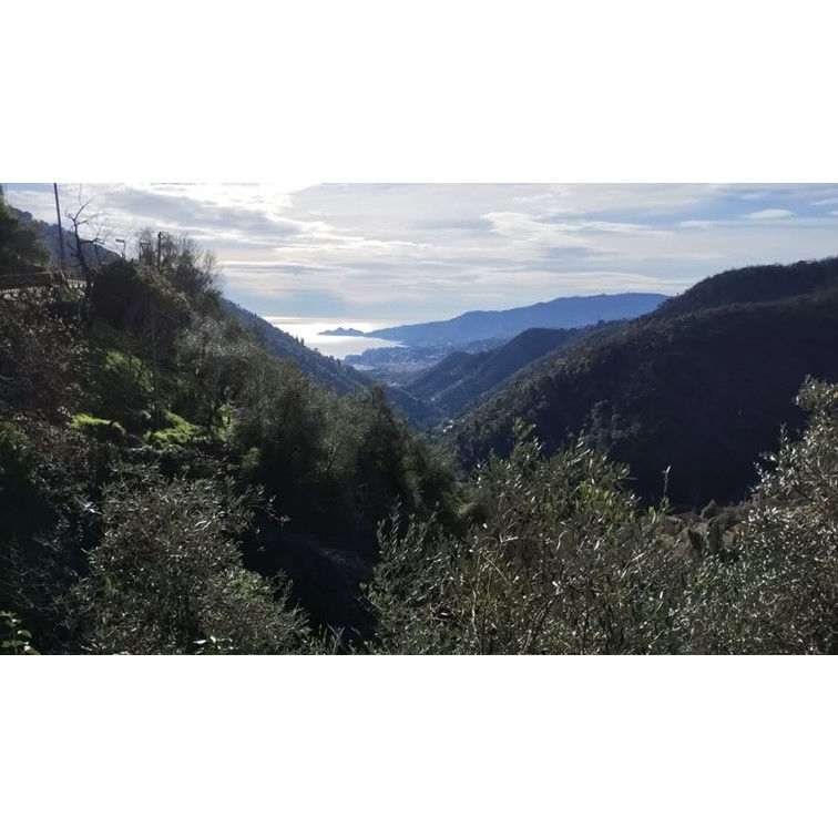 Borghi su Rapallo