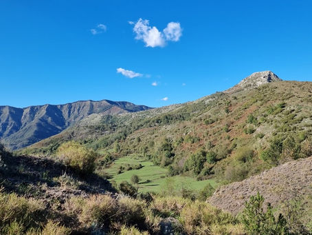 Tutti gli eventi di oggi, lunedì 28 ottobre