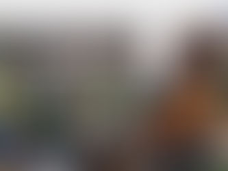 The week from Friday 12 January to Friday 19 January 2024
