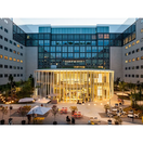 cosa fare oggi a milano