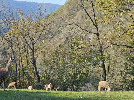 Tutti gli eventi di oggi, sabato 21 dicembre