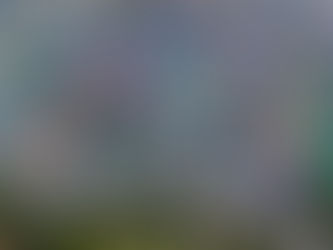 Haiti-Oral Health in Port Au Prince