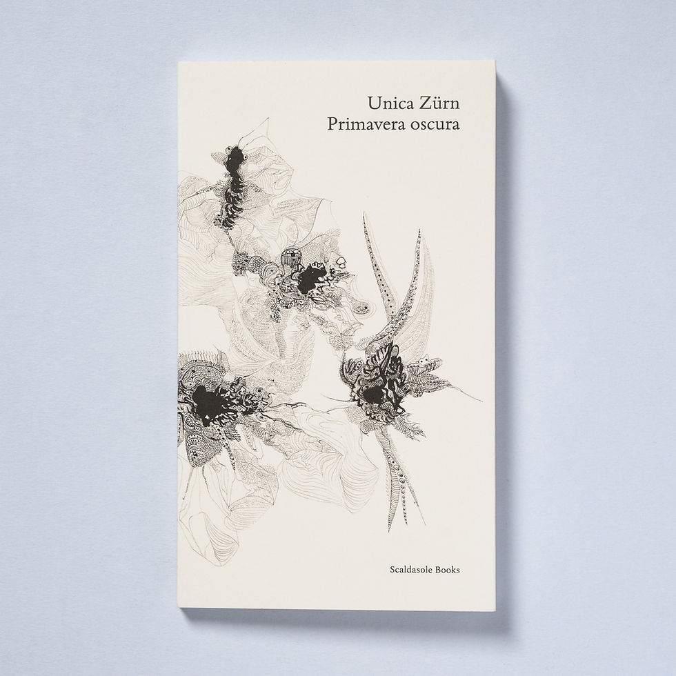 Presentazione: Primavera oscura di Unica Zürn e collana editoriale “scrittura e immagine”
