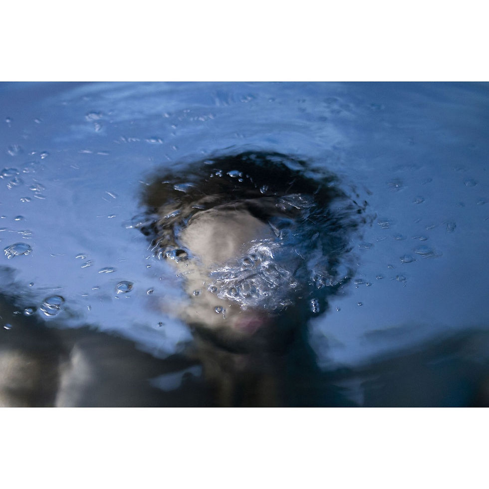 ARTE VIVA. Processi performativi e partecipativi come pratica. XXVIII Premio Gallarate