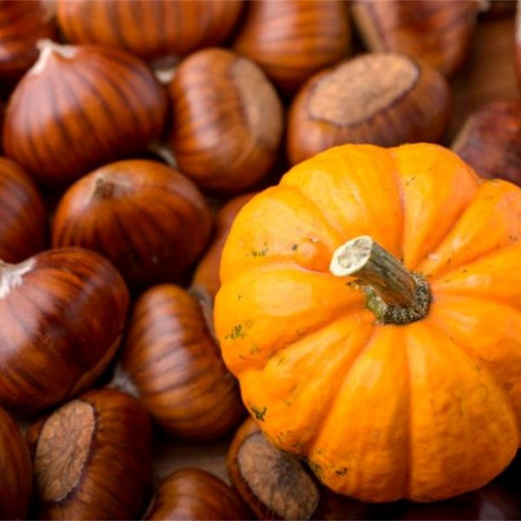 Serata a tema Zucca e Castagne