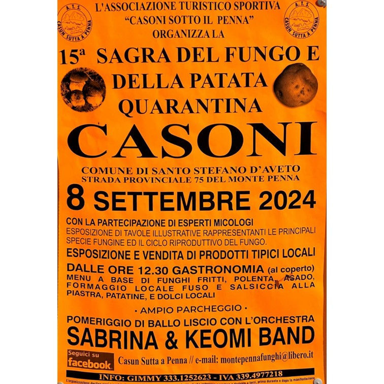 15 ° sagra del Fungo e della patata Quarantina