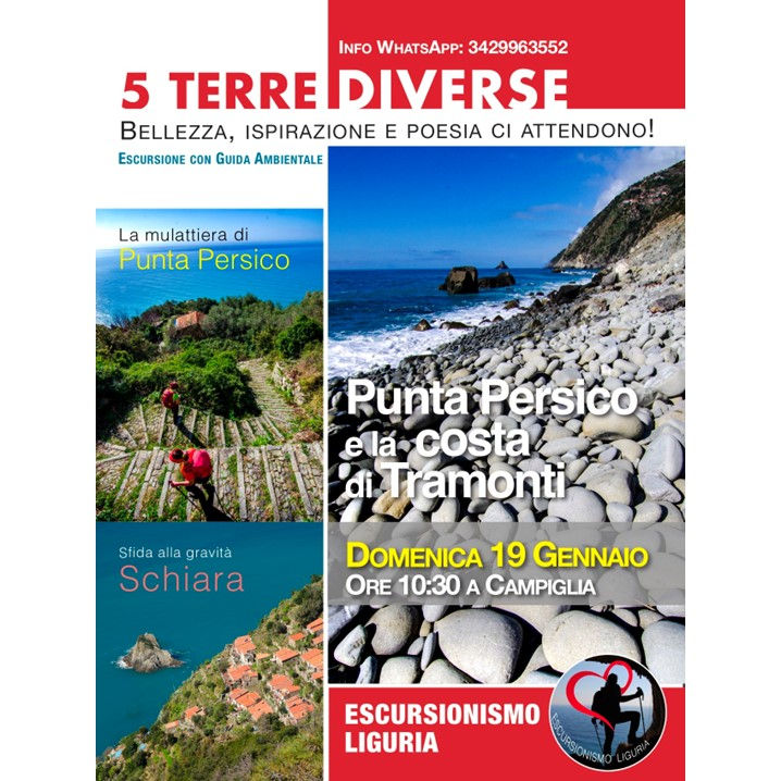 5 Terre diverse