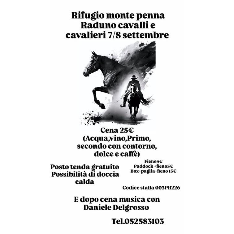 Raduno cavalli e cavalieri