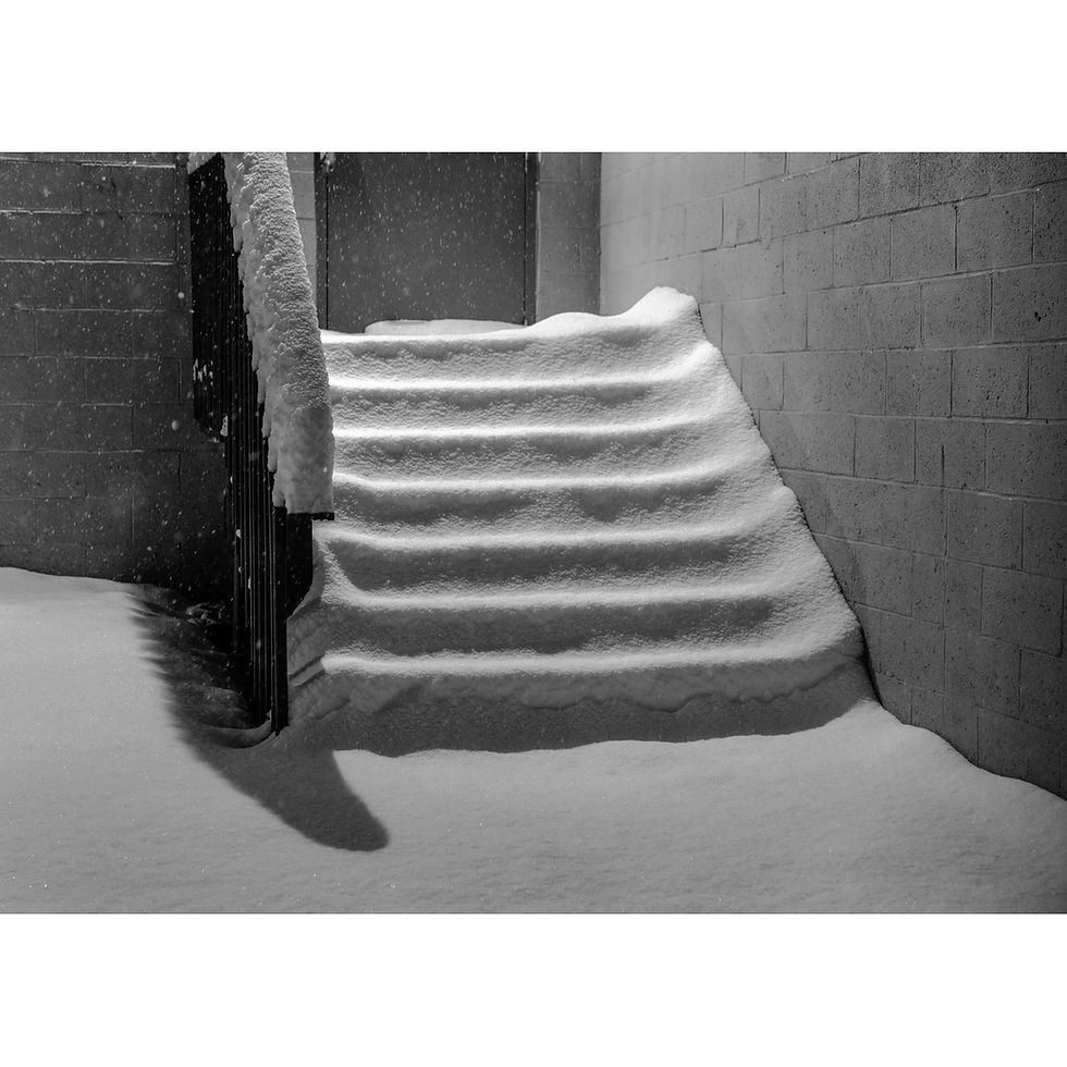 NEVEr alone: Olivo Barbieri e Walter Niedermayr