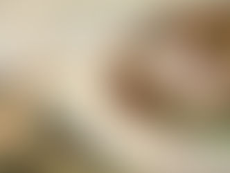 Gesù esegesi, narrazione del Dio nascosto