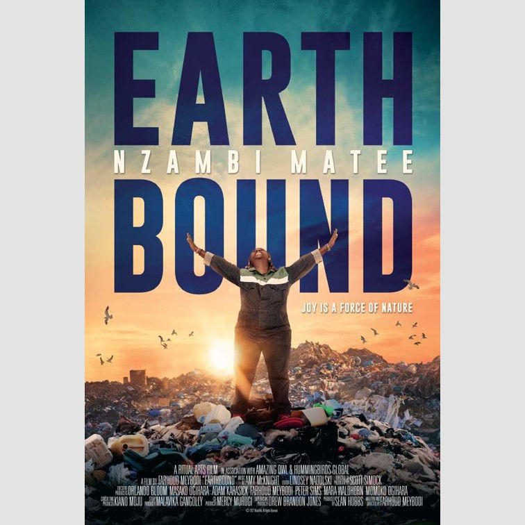 RIFF documentari - Earthbound