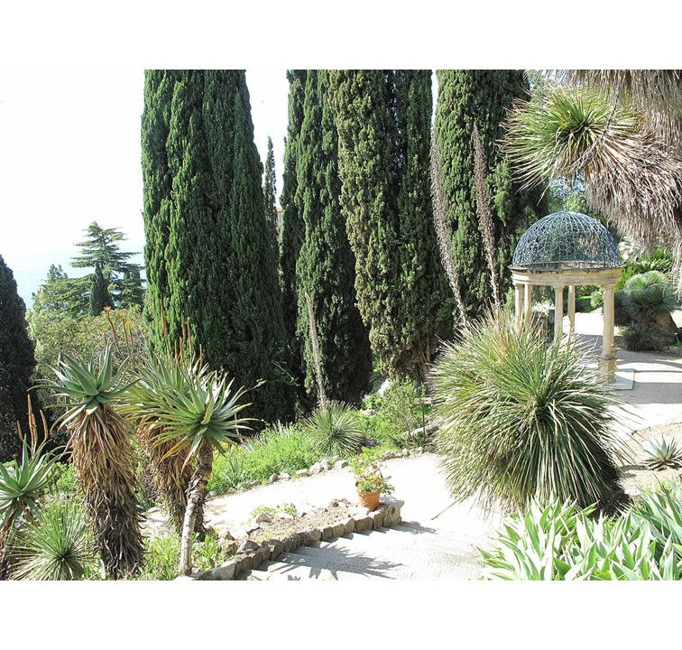 Hanbury, its international history