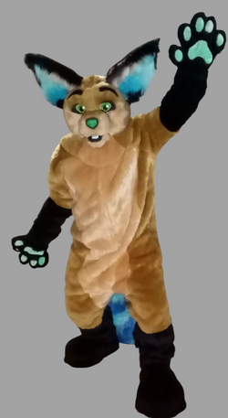 photo_2020-08-10_18-36-41v2-Photoroom