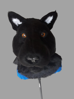 photo_2018-09-02_20-11-04-Photoroom