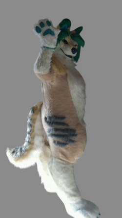 photo_2018-06-06_12-57-47-Photoroom