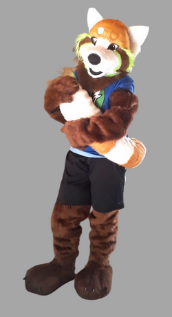 photo_2018-11-29_18-15-43-Photoroom