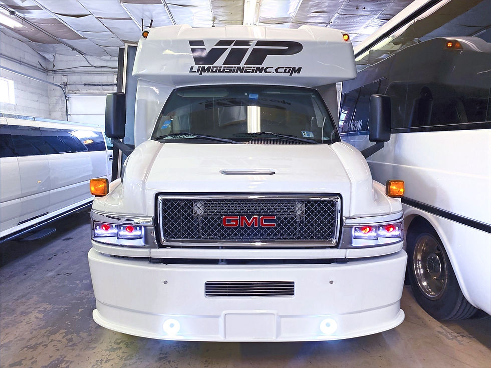 Small party bus rental in Chicago