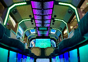 Party bus Chicago interior