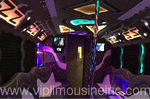 Party bus dance area